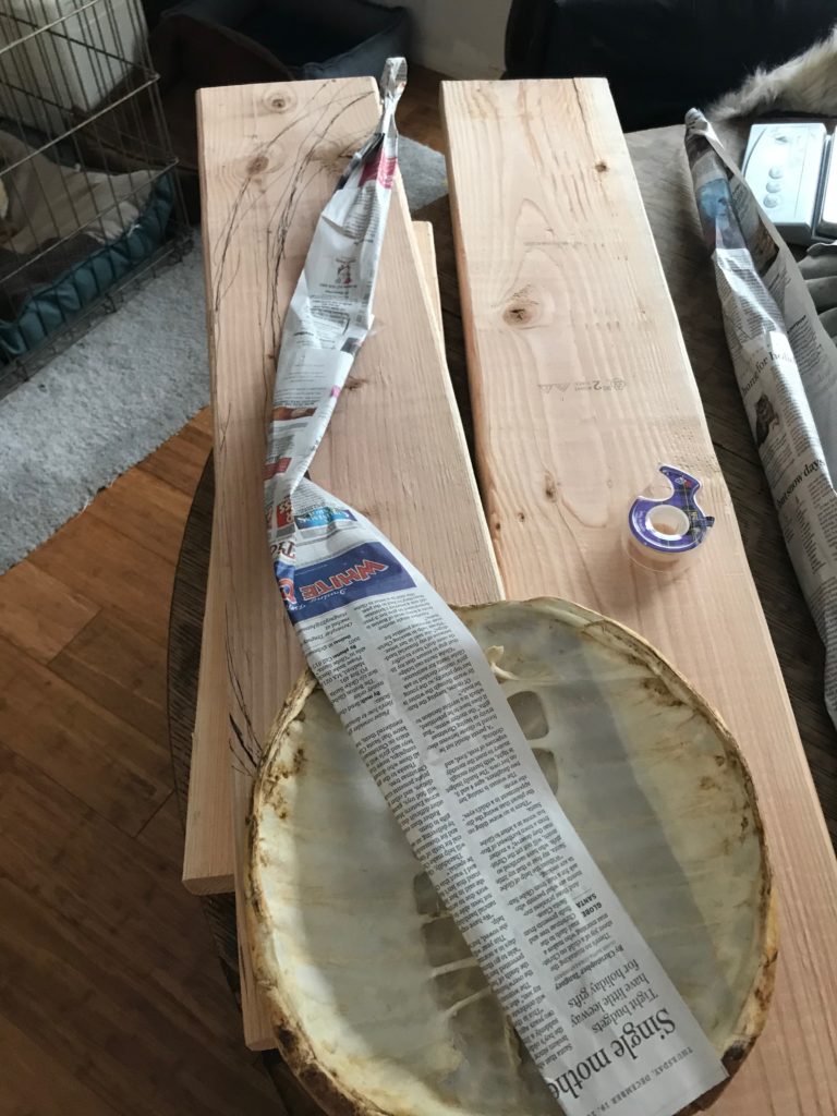Two pieces of pine wood, with newspaper stencil cut out in long arm shape, resting on snapping turtle shell